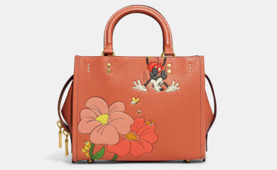 Disney × Coach ディズニー 創立100周年限定コレクション | イベント情報 | 八木橋百貨店